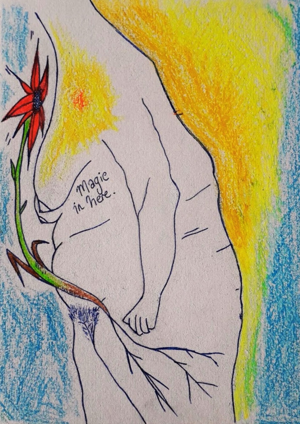 wild beauty and soft power