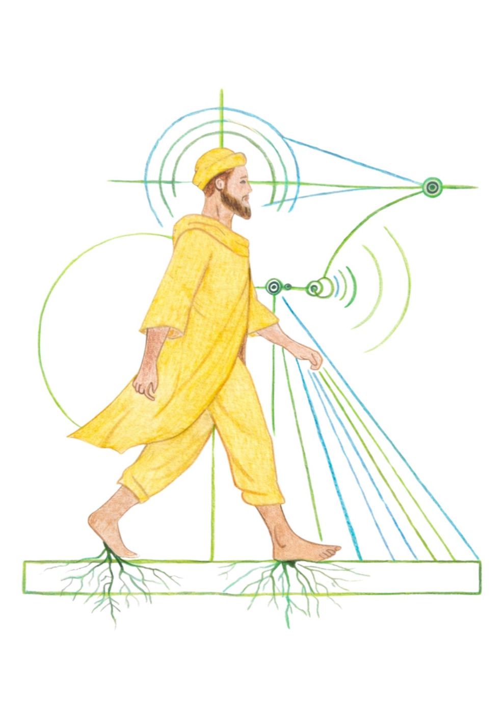 the harmonic human